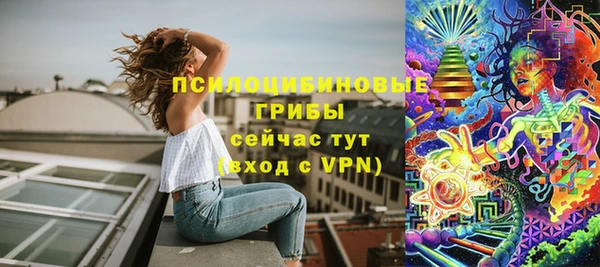 spice Алзамай