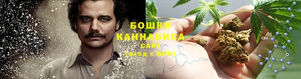 spice Алзамай