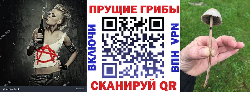 Псилоцибиновые грибы Psilocybine cubensis  гидра ONION  Жуковский  где купить наркоту 
